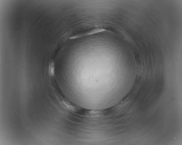 X0000074940095200609221716