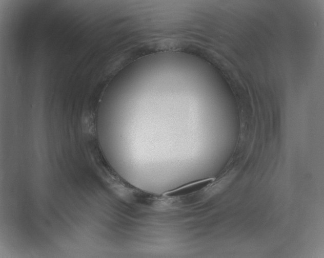 X0000074940096200609221716