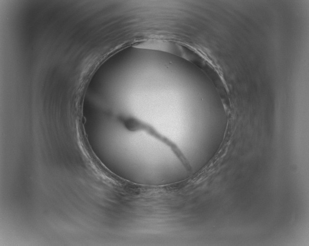 X0000074940097200609221715