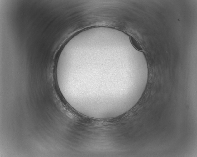 X0000074940098200609221715