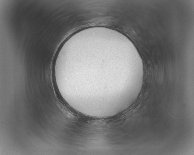 X0000074940100200609221715