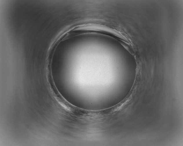 X0000074940101200609221715