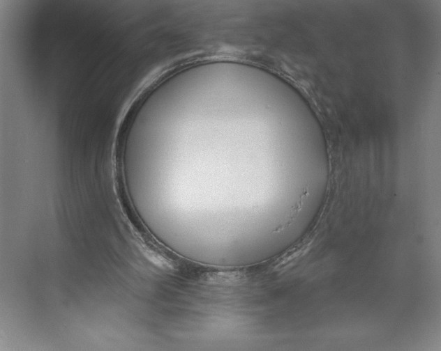 X0000074940102200609221715