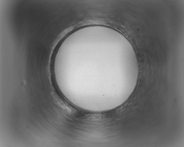 X0000074940104200609221715