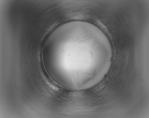 X0000074940106200609221715