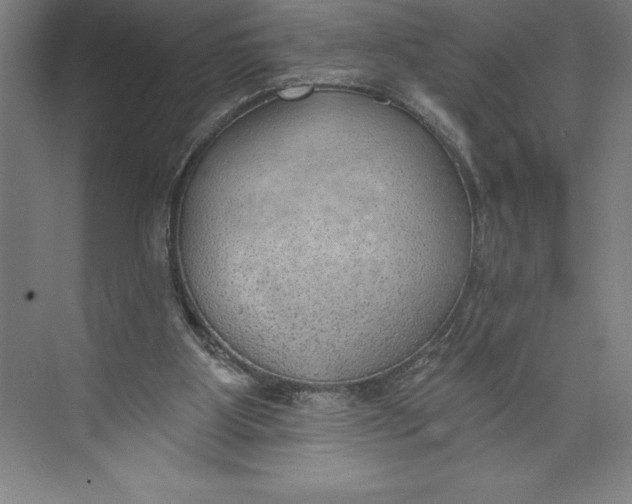 X0000074940107200609221715