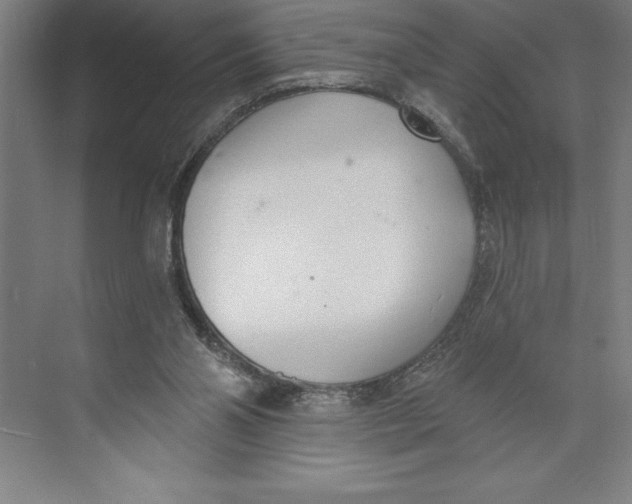 X0000074940110200609221715