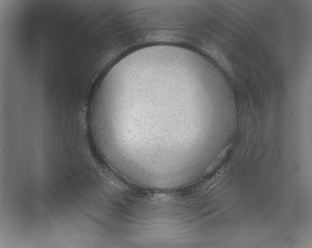 X0000074940111200609221715