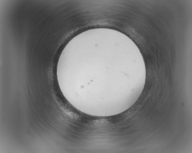 X0000074940112200609221715