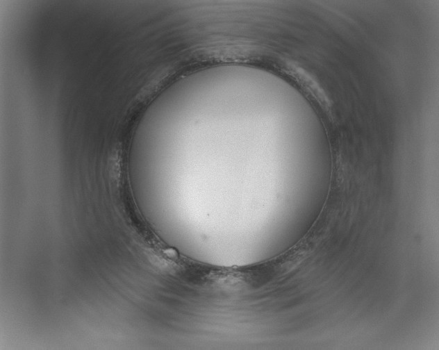 X0000074940113200609221715