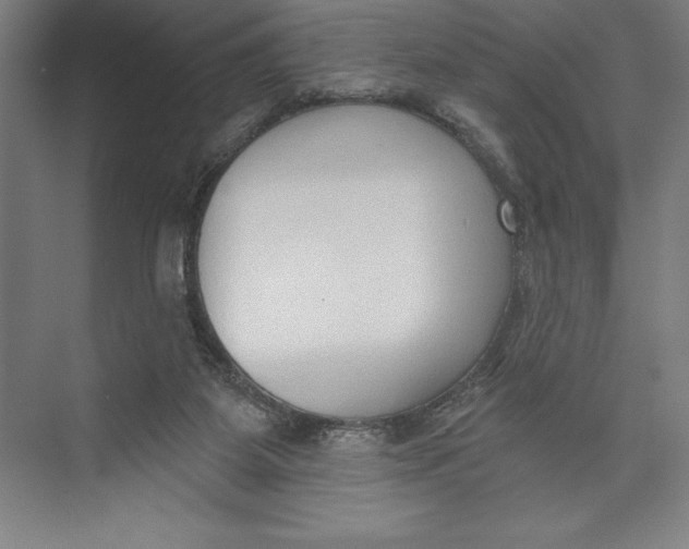 X0000074940115200609221715