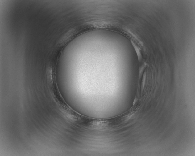 X0000074940117200609221715