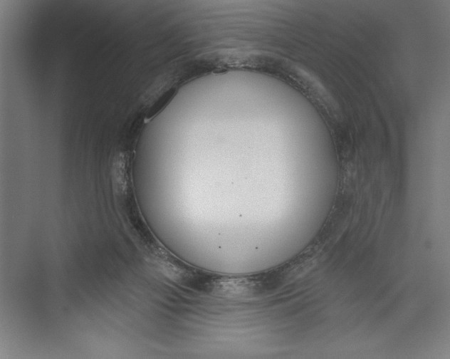 X0000074940121200609221715