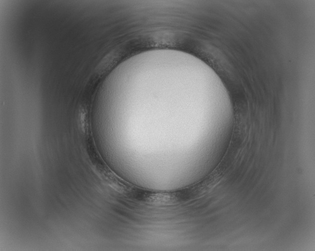 X0000074940123200609221715