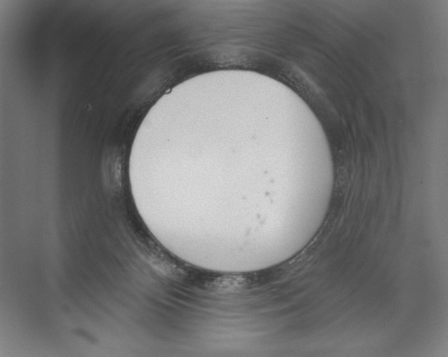 X0000074940124200609221715