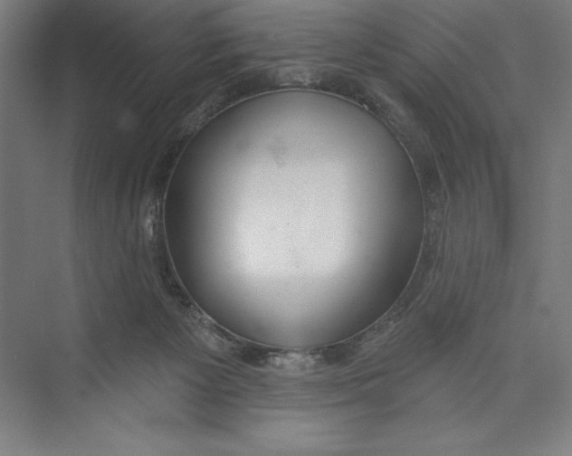 X0000074940125200609221715