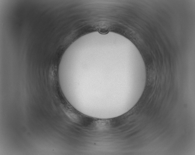 X0000074940126200609221715