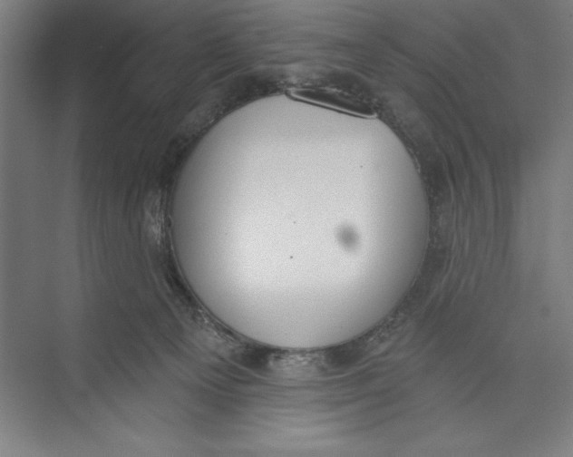 X0000074940129200609221715