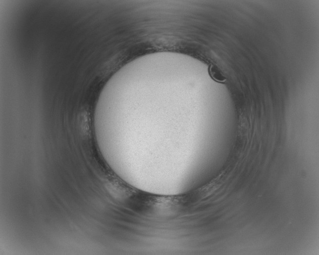 X0000074940130200609221715