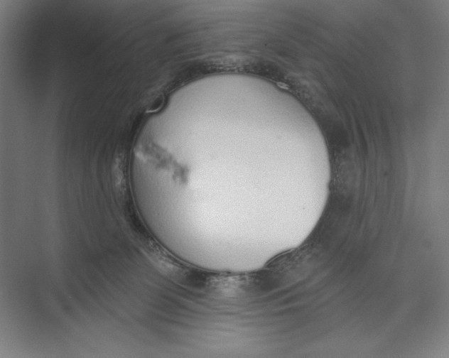 X0000074940131200609221715