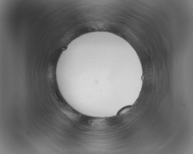 X0000074940132200609221715