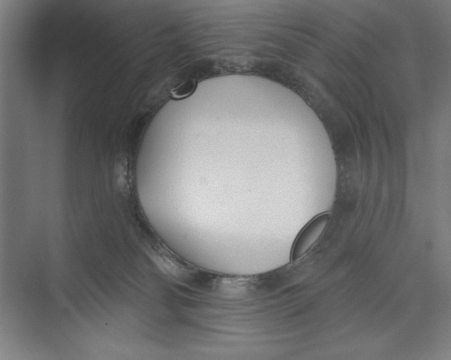 X0000074940134200609221715