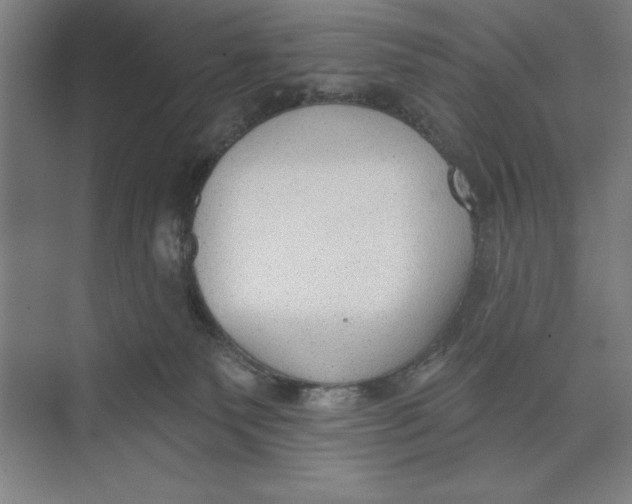 X0000074940135200609221715