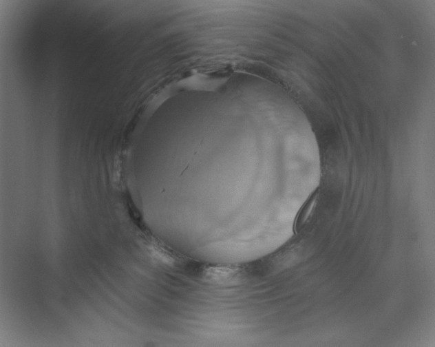 X0000074940139200609221715