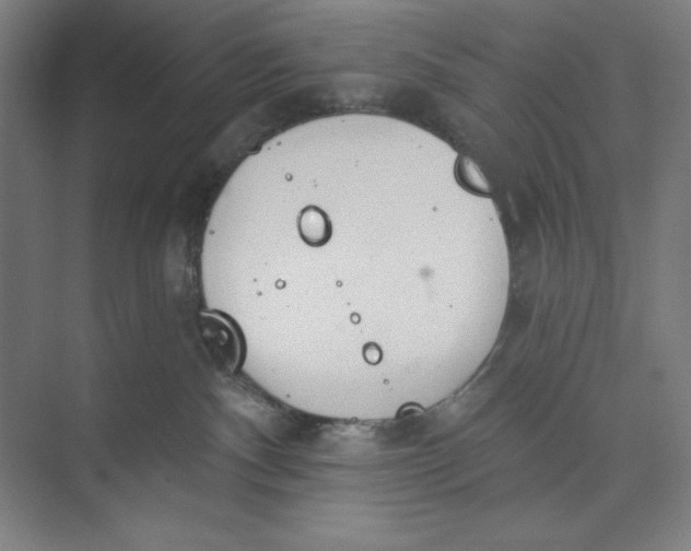 X0000074940140200609221715