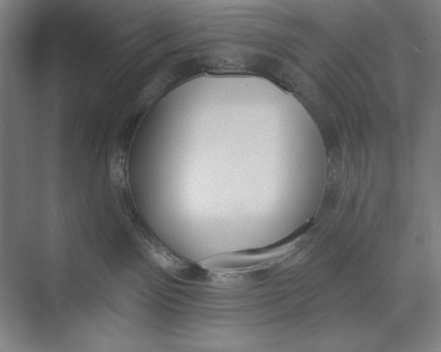 X0000074940141200609221715