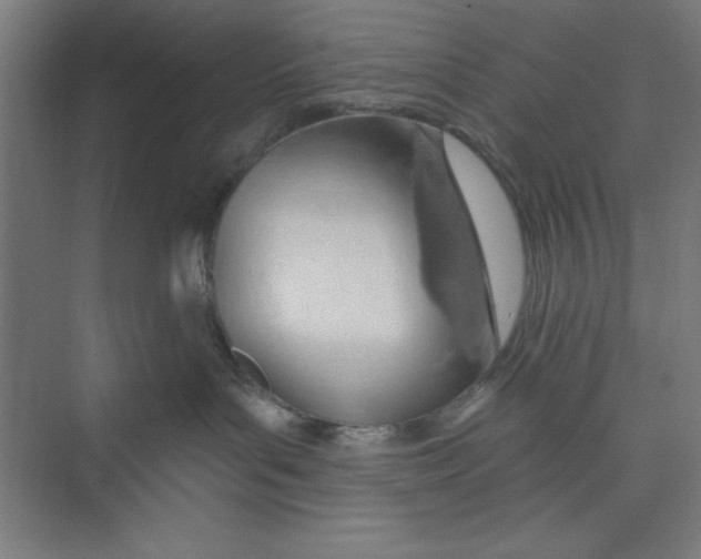 X0000074940143200609221715