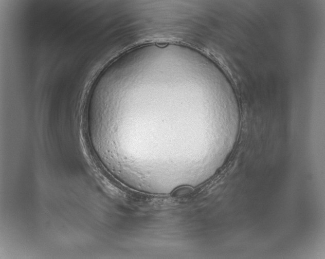 X0000074940145200609221714