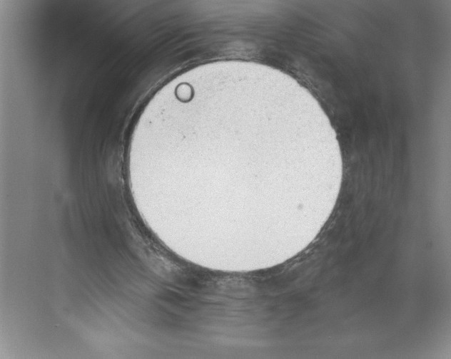 X0000074940146200609221714