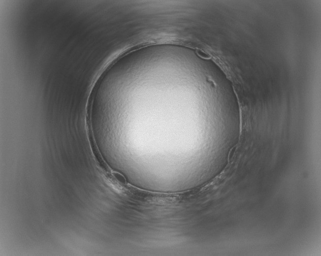 X0000074940147200609221714