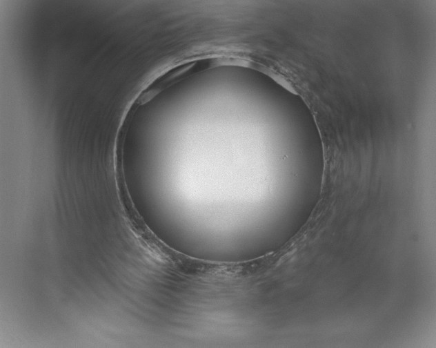 X0000074940148200609221714