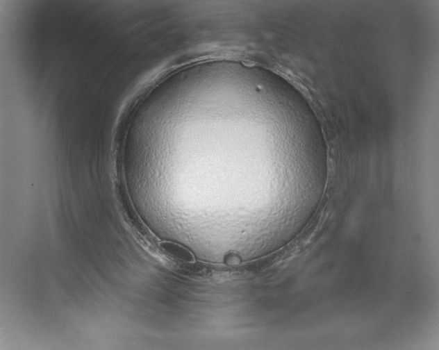 X0000074940149200609221714