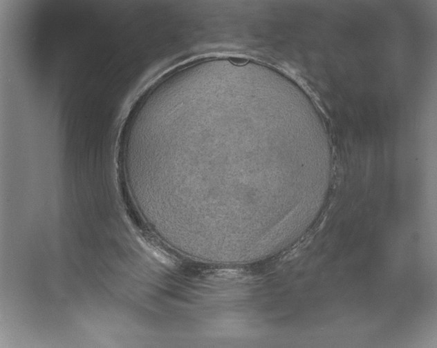 X0000074940151200609221714