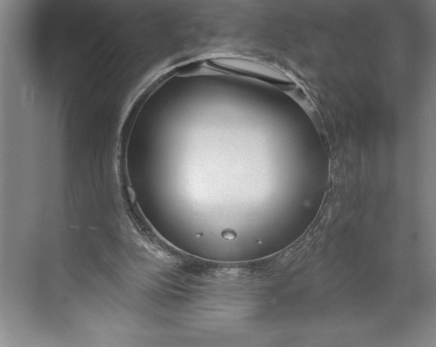 X0000074940152200609221714