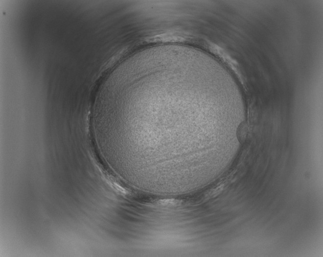 X0000074940153200609221714