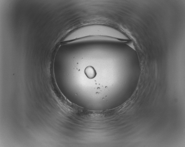 X0000074940154200609221714