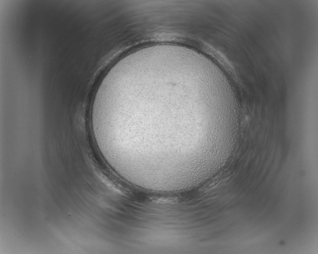 X0000074940155200609221714