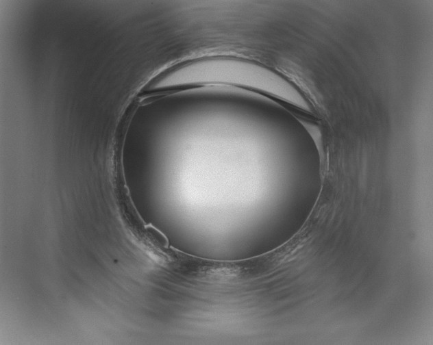 X0000074940156200609221714