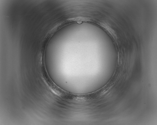 X0000074940157200609221714