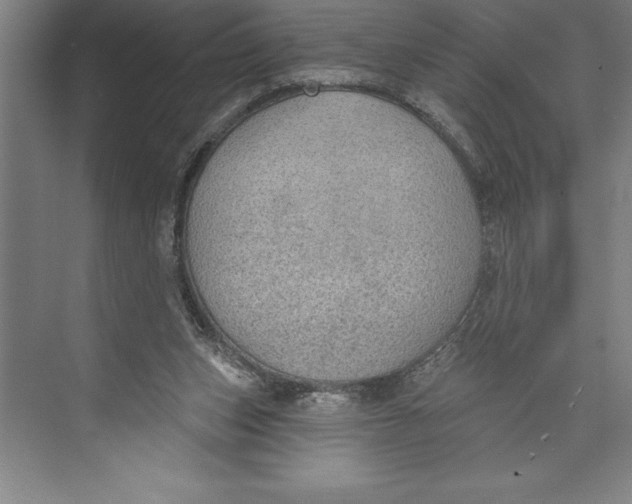 X0000074940159200609221714