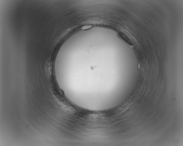 X0000074940160200609221714