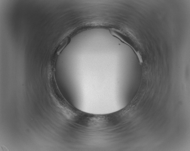 X0000074940164200609221714