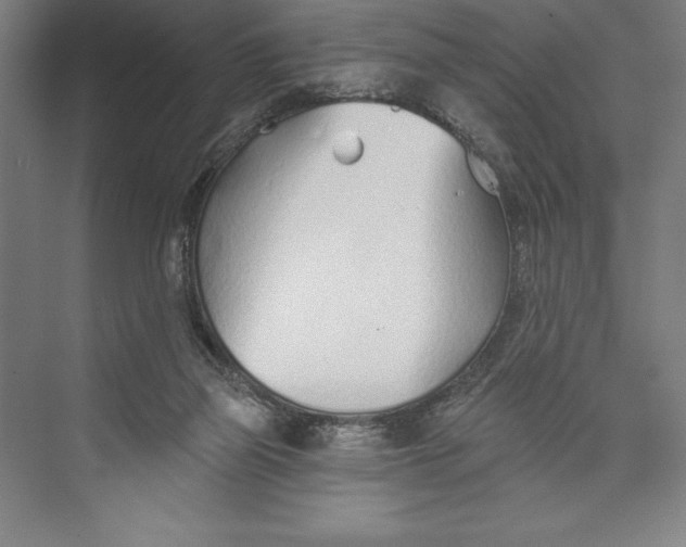 X0000074940165200609221714