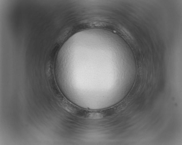 X0000074940169200609221714