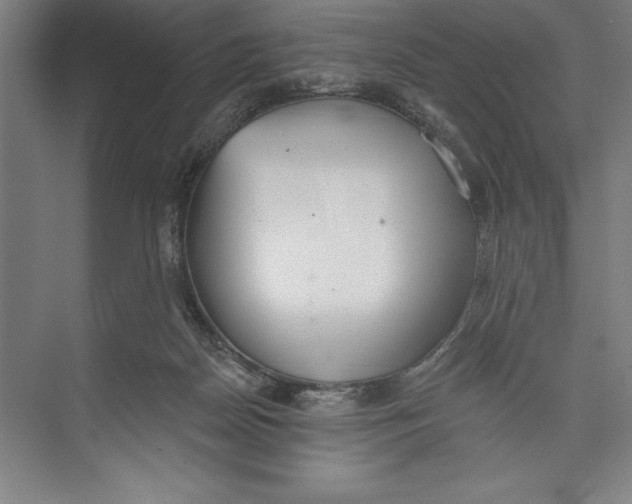 X0000074940170200609221714