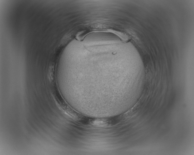 X0000074940171200609221714